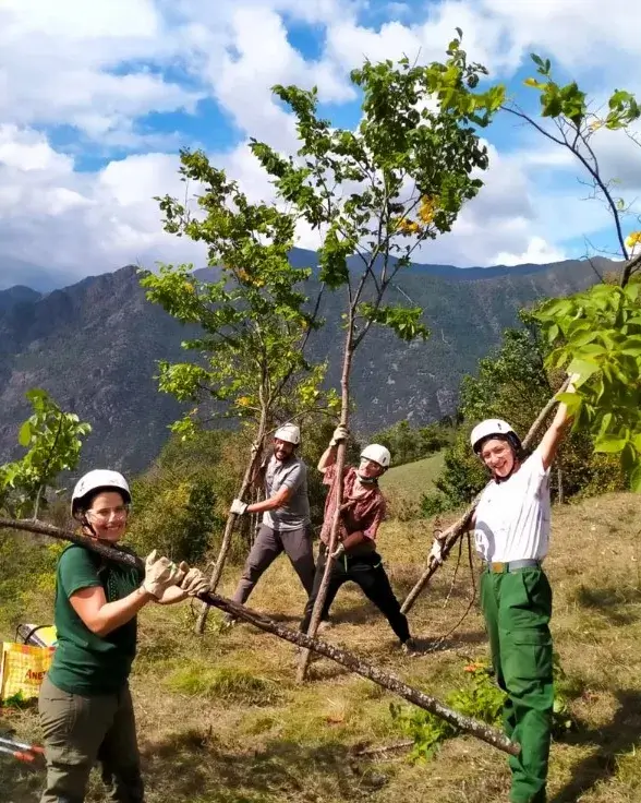 Imatge de persones voluntàries treballant en les tasques de voluntariat del projecte Boscos de Muntanya.