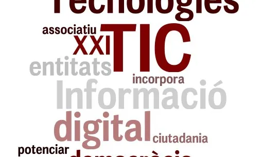 Paraules clau del estudi (http://www.wordle.net)