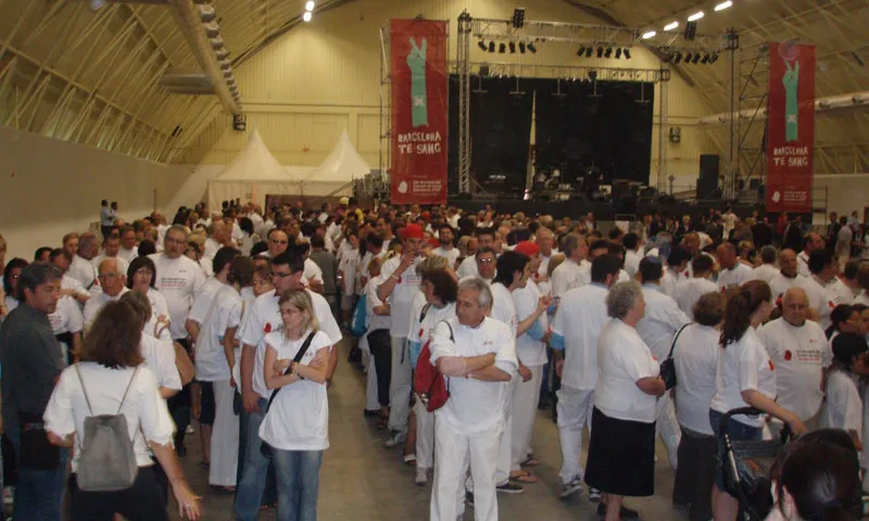 Preparació del mosaic