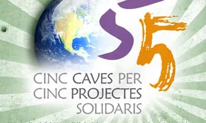 Els beneficis del concert es destinaran a "5cavesx5projectes"