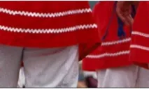 Detall d'un vestit de ball de bastons.