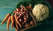 Aliments