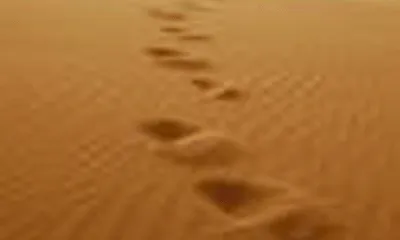 Imatge d'un desert amb la pregunta: "Hi ha algu?"