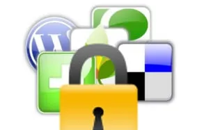 Seguretat en la web 2.0