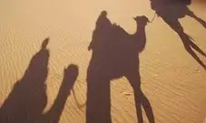 Ombra d'un camell