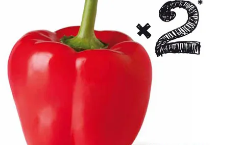 Imatge corporativa dels premis de CECOT