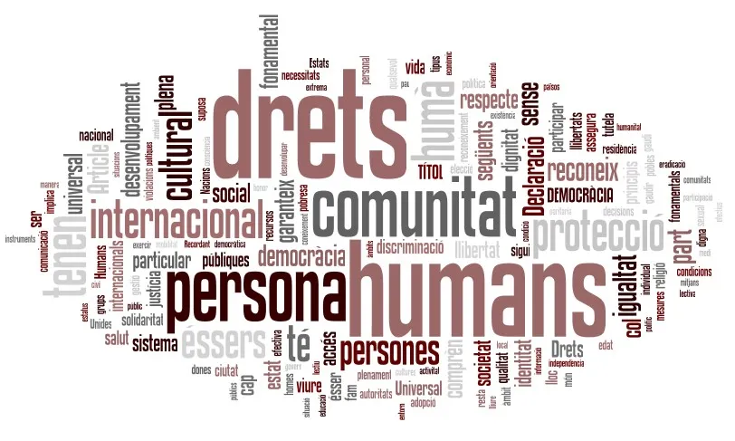 Núvol de paraules generat amb el text de la DUDHE amb l'aplicació wordle.net