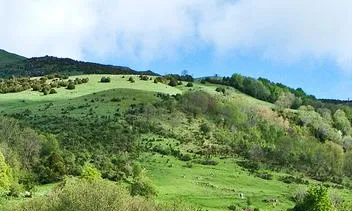 foto: flikcr, per desdibuix-miquel