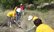 Voluntariat ambiental. Font: Grupo CAM (Flickr)