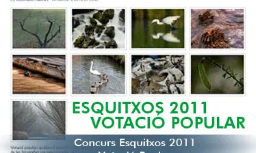 Concurs Esquitxos