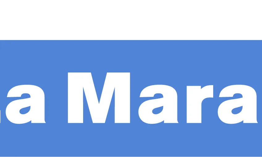 Logotip de La Marató de TV3 pels 20è aniversari