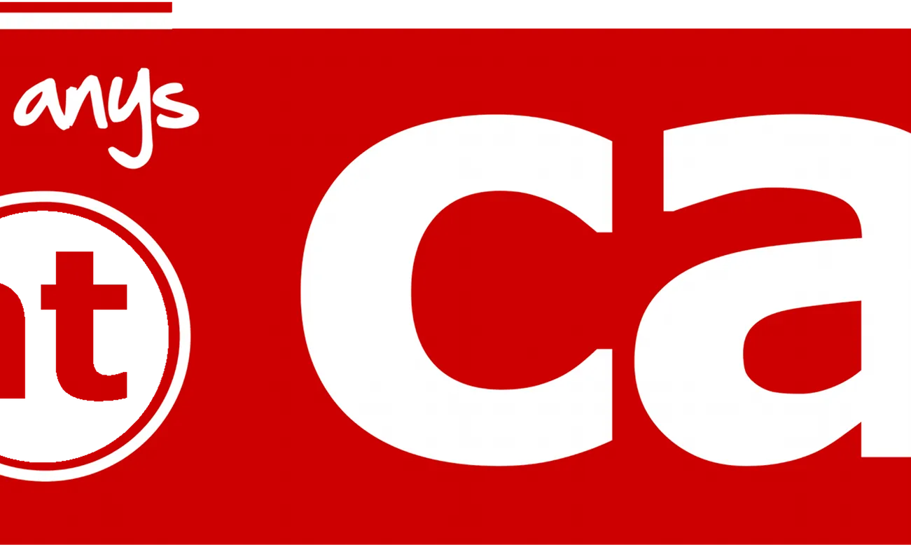 5è aniversari del domini .CAT