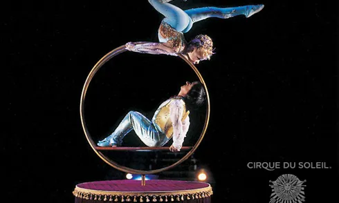 Imatge de l'espectacle Corteo