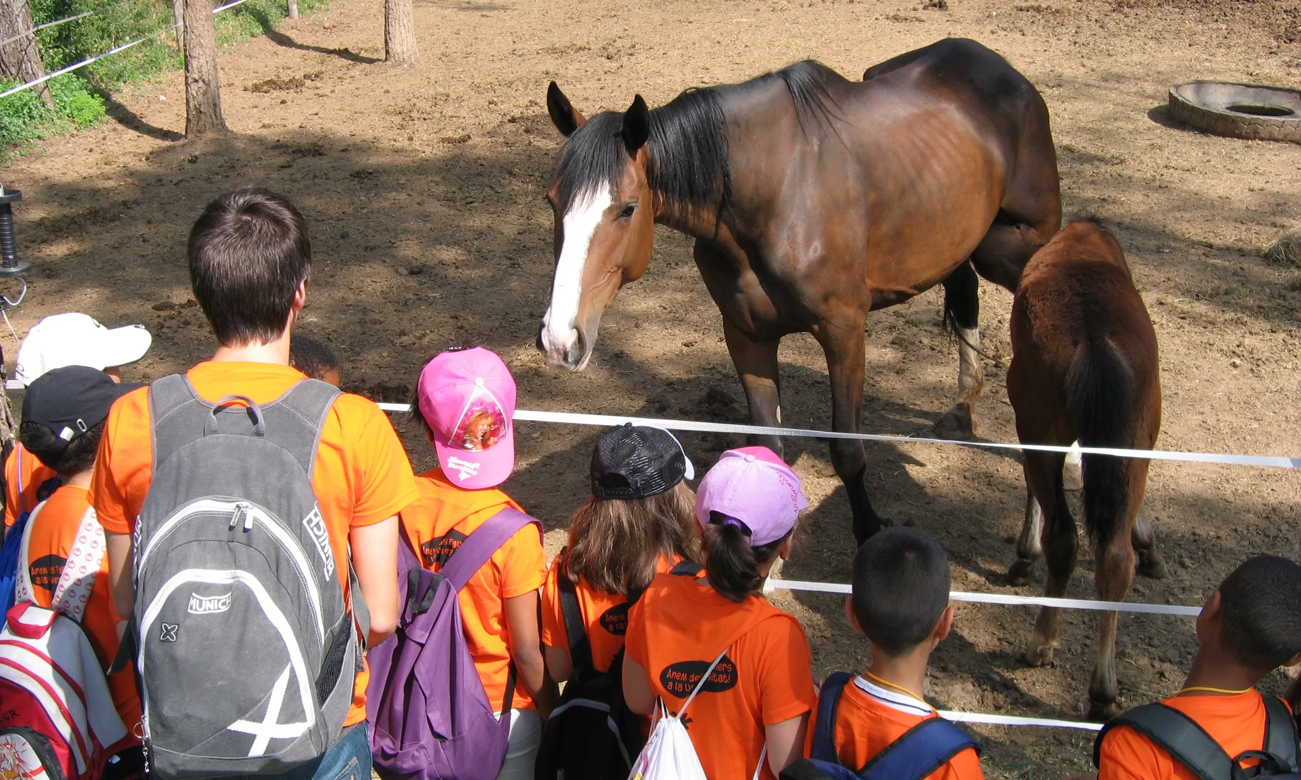 Visita a les grànges de la facultat de veterinària