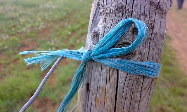 Cinta lligada a un arbre. Compromís_dUENdEdU_Flickr