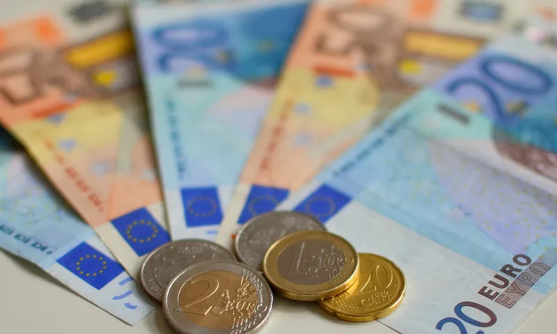 Monedes i bitllets d'euro_EnvironmentBlog_Flickr Monedes i bitllets d'euro_EnvironmentBlog_Flickr