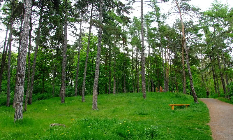 Medi mabient. Font: Brno-Židenice a commons.wikimedia.org Medi mabient. Font: Brno-Židenice a commons.wikimedia.org