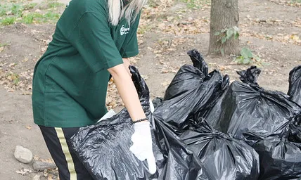 Voluntariat ambiental. Font: Umbrela Verde (flickr)