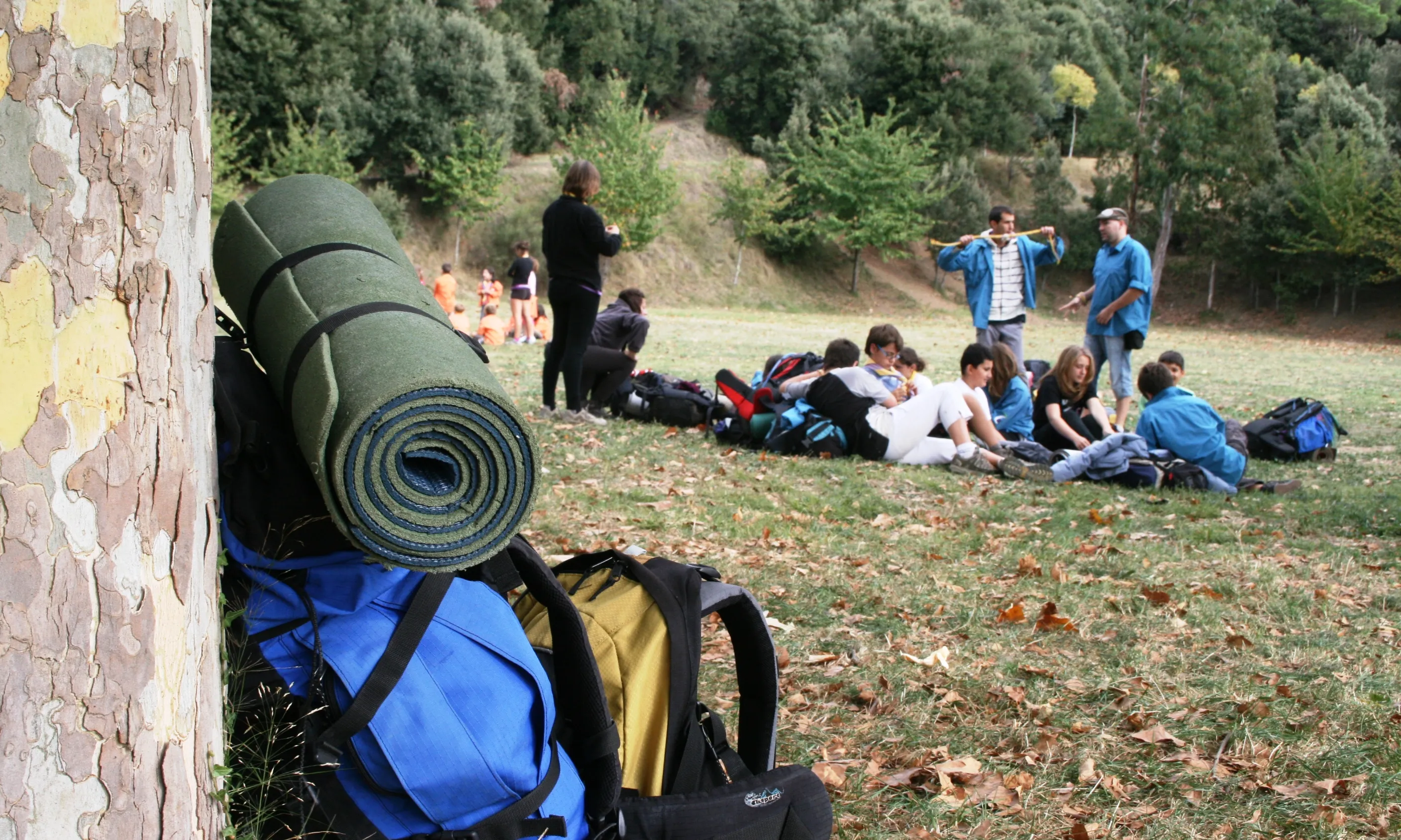 Un moment d'una sortida d'un agrupament escolta a la natura. Foto: MEG.
