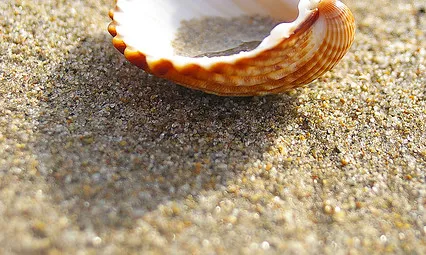 Les activitats a la platja necesiten protecció solar. Fotografia de Lali Masrier