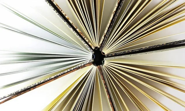Llibres oberts. Font: Frailejon Editores (flickr.com)