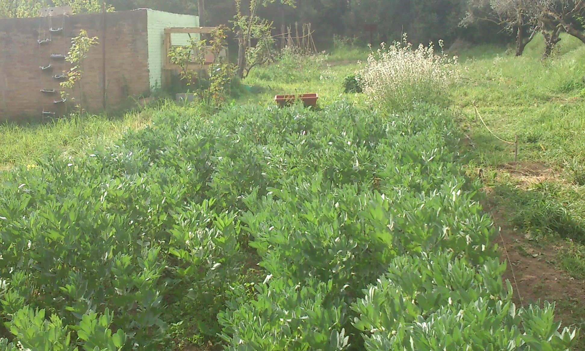 Hortet de la UAB (Font: L'Hortet) 