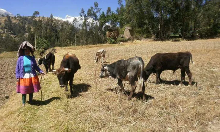 Comunitat d'Huapra, als Andes peruans (Font: Projecte Huapra)