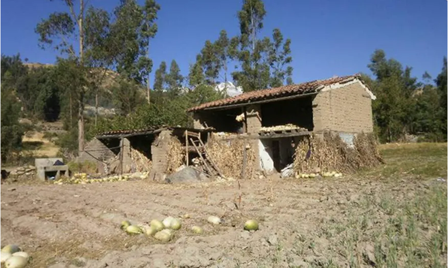 Comunitat d'Huapra, als Andes peruans (Font: Projecte Huapra)