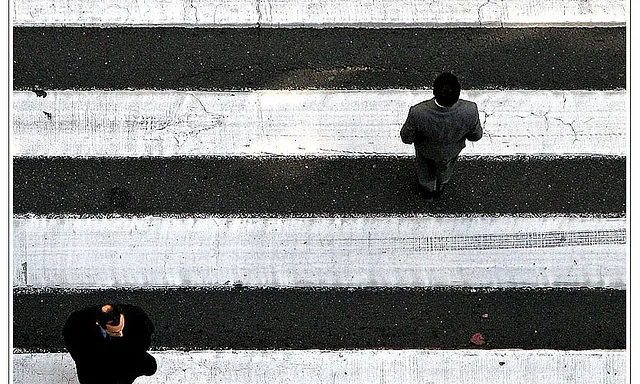 Pas de zebra. Civisme_pasaro_Flickr