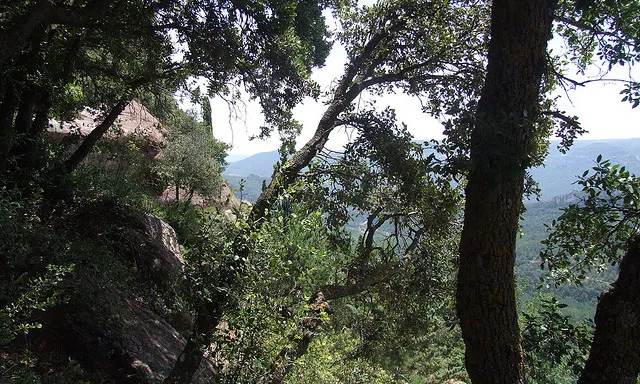 Prades_Ramon Oromi Farre [calBenido]_Flickr