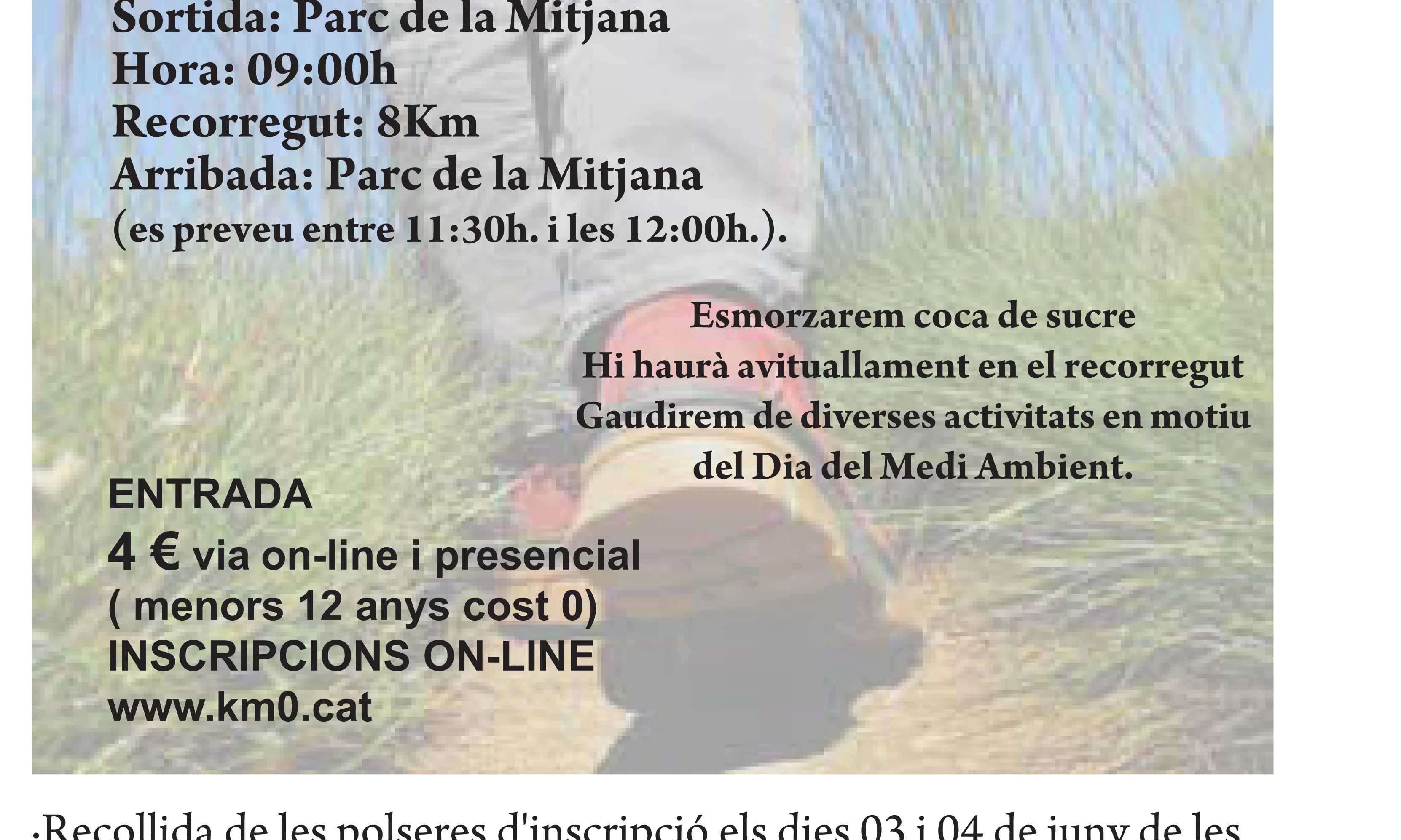 Cartell de la caminada popular