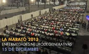 Marató 2013