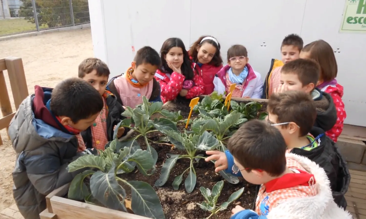 Escola Pompeu Fabra de Vilanova del Camí (l'Anoia)