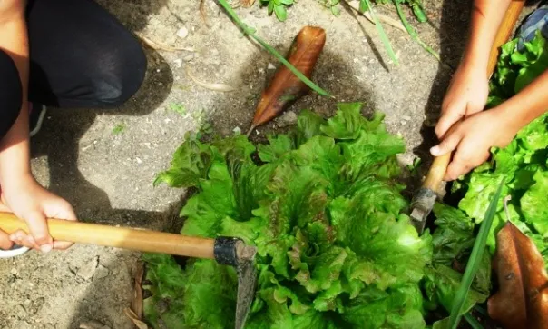 L'escola Els Raiers de la Pobla de Segur (Pallars Jussà)
