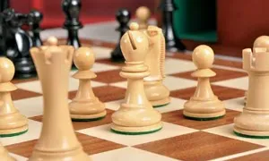 Oferta de cursos estratègics per a entitats.