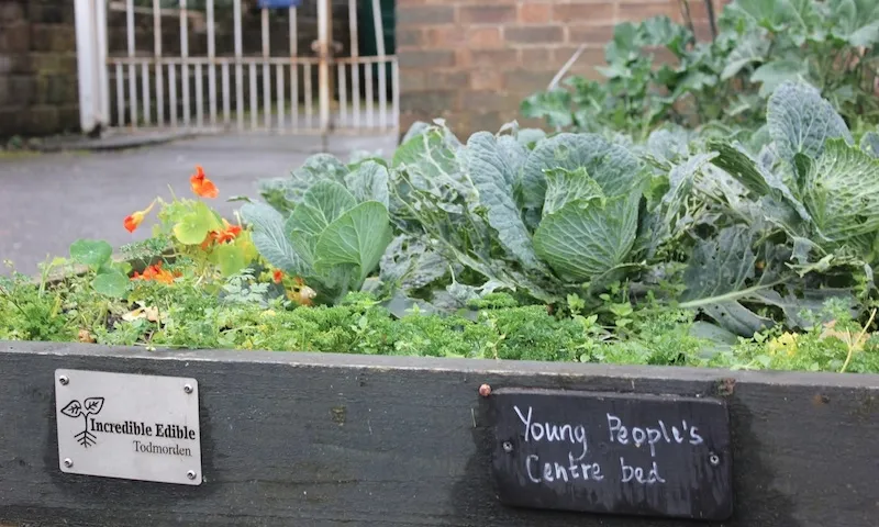 Horts urbans comunitaris a Todmorden (Anglaterra)