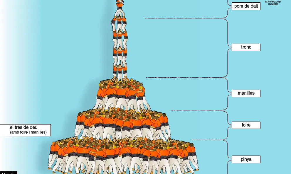Les parts del castell (Imatge: Lèxic casteller)