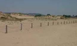 Muntanyans de Torredembarra (Imatge: ACOIO)