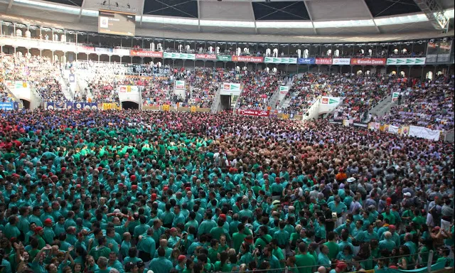 El concurs de castells és un bon lloc per demostrar la feina feta. Foto: Castellers de Vilafranca