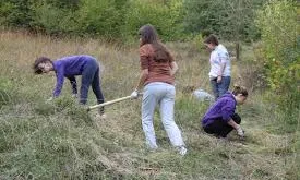 Camp de treball de la Fundació Catalana de l'Esplai (Imatge:Fundació Catalana de l'Esplai)