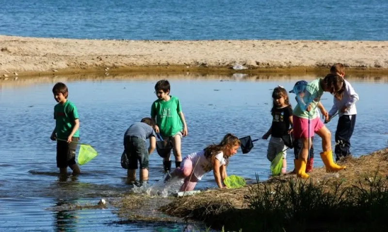 Els petits naturalistes de l'Escola de Natura del GEPEC (Imatge:Gepec)