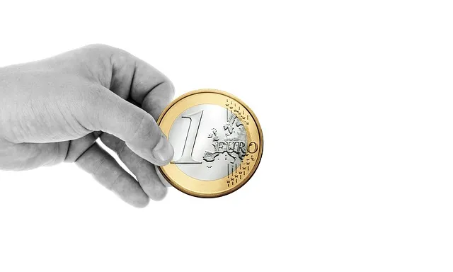Imatge mà lliurant un euro. Font: pixabay.com