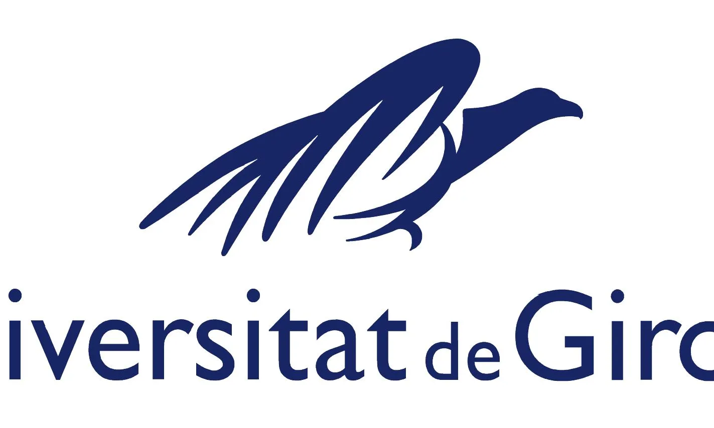 Logo Universitat de Girona