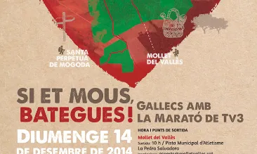 La gran bategada, els gallecs amb la Marató de TV3.