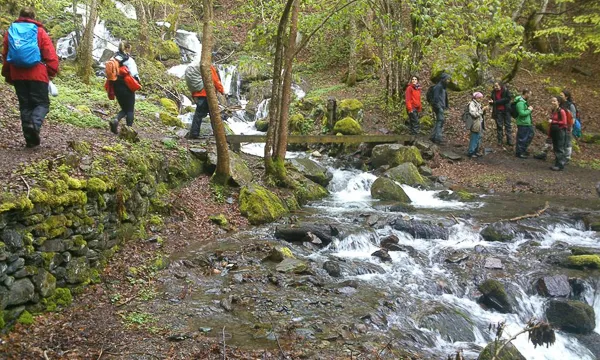 Bosc de muntanya i capçalera de rius són entorns relacionats (imatge.boscosdemuntanya.cat)