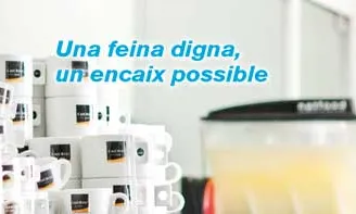 S'ofereix a les empreses un servei gratuït d’assessorament i acompanyament
