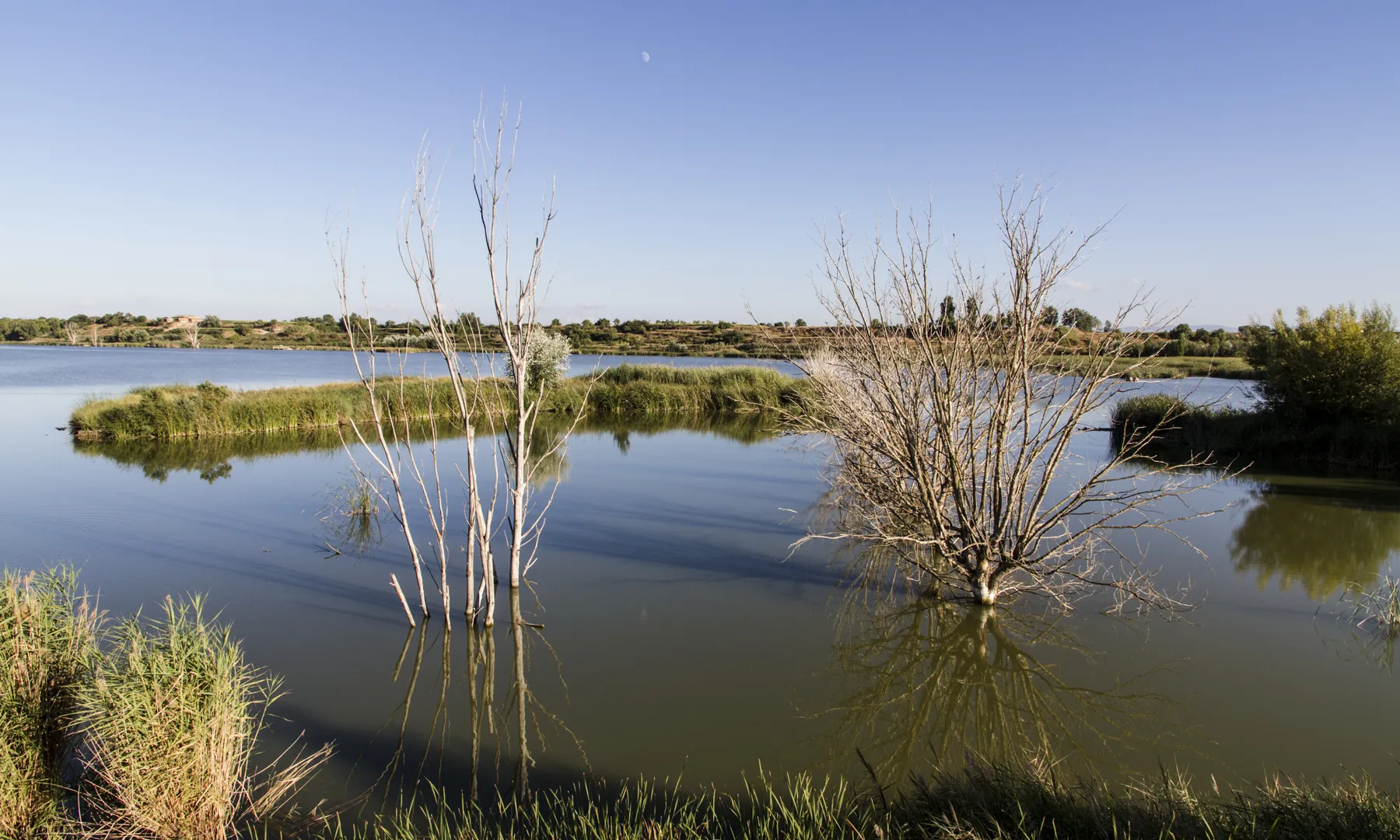 L'estany d'Ivars i Vila Seca (imatge: flickr/Claudi Cervelló)