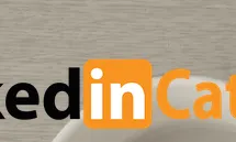 La campanya LinkedinCatalà ha repercutit en un augment de .cats