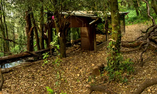L'aguait de Can Teixó (imatge:naturaprop)