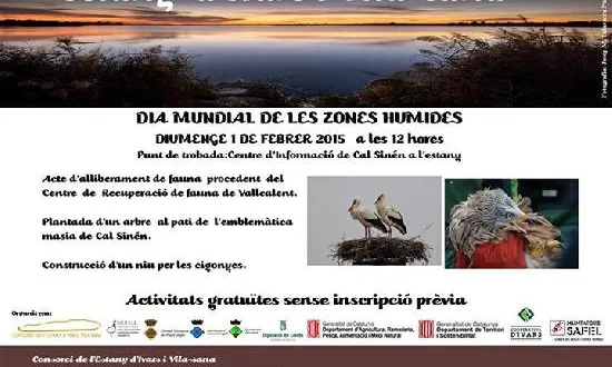 Cartell celebració dia mundial zones humides a l'Estany d'Ivars i Vila-sana (imatge; viulaterra.com)
